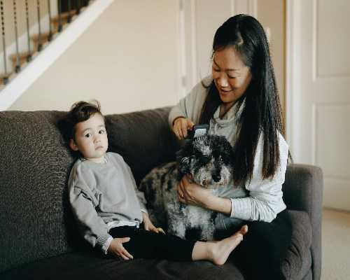 拉萨比较好的试管医院Top10排行,代孕供卵微信